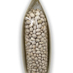 Fagioli cocco bianco bio